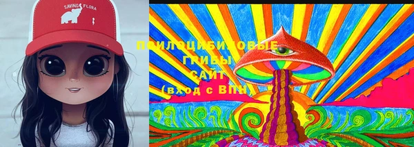 прущие крисы Абаза