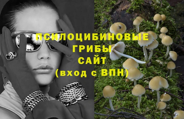 прущие крисы Абаза