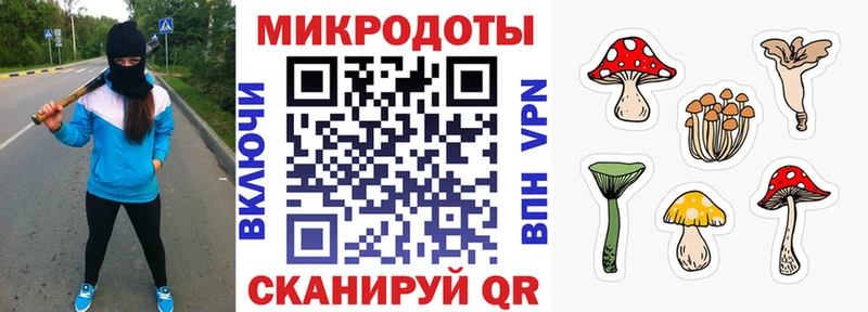 где купить наркоту  Адыгейск  Псилоцибиновые грибы мухоморы 