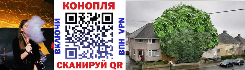 Каннабис Ganja где можно купить Адыгейск